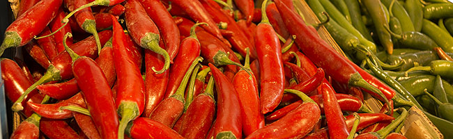 meer pit in mijn bedrijf groningen